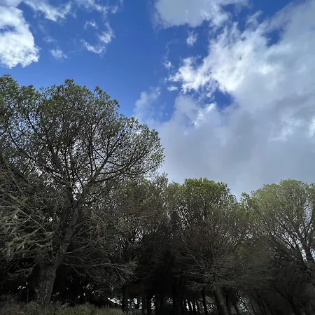 5th Element Espartal By Lisbeyond Apartment